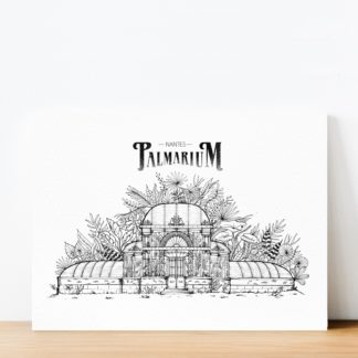 Palmarium_affiche palmarium -Geoffrey Berniolle_illustration_ studio mâtcha - nantes - linatelier - _poster_cadre_décoration_mur_intérieur