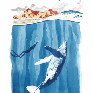 La baleine à bosse océan atlantique Illustration frères de la côte