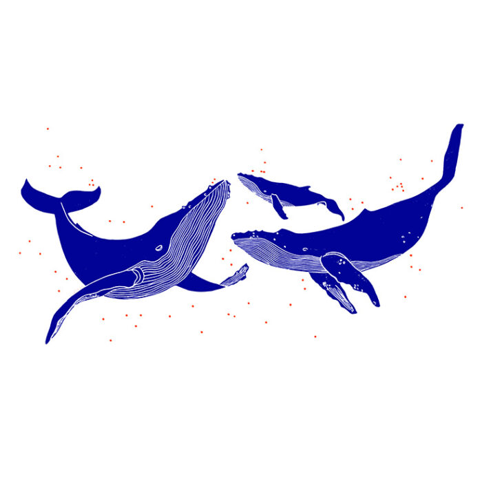Grande Linogravure 'Trio de Baleines' 60x80 cm dessin