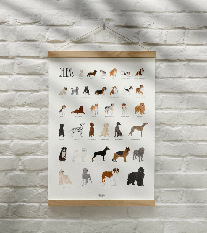 Affiche-chiens-papier d'art-texturé-position-sport-memory-50x70cm-déco-nantes