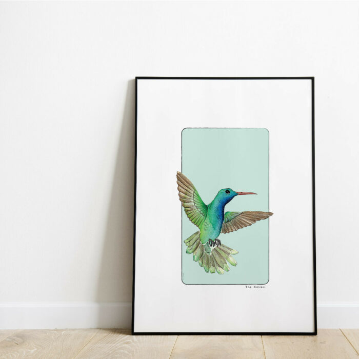 Affiche-reproduction-Aquarelle colibri - Edith-timmerman-fabrication française