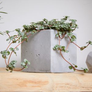 Décoration