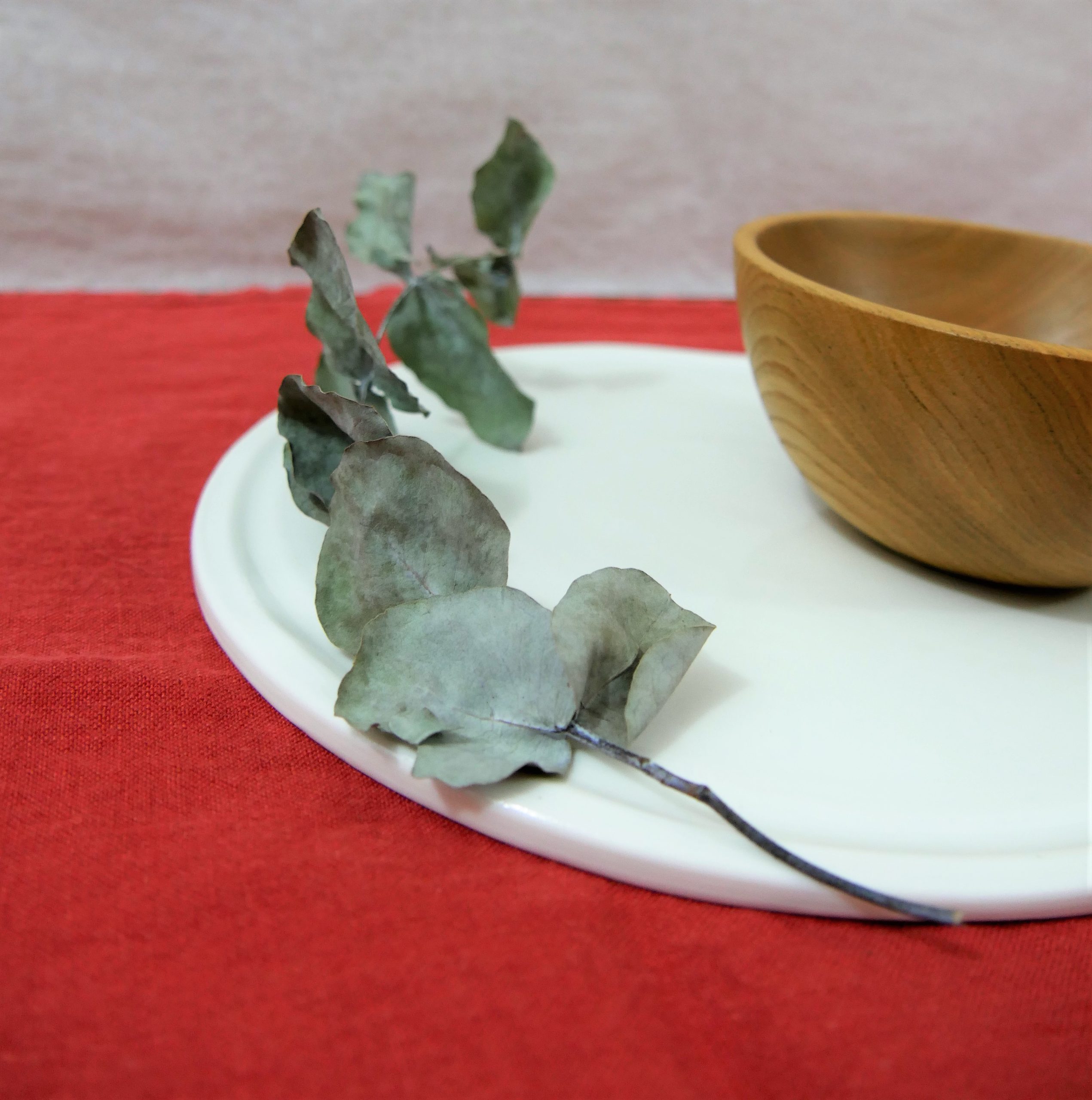 assiette plate porcelaine diametre 24 cm