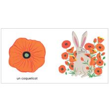 livre_bébé_enfant_cartonné_histoire_dessin_imagier_nature_maison Eliza_Editions_l'INATELIER_Nantes_cadeaux_noel_chambre_apprentissage_Couv-Les-couleurs-de-mon-jardin-RVB-550x550_made-in-france_coquelicot