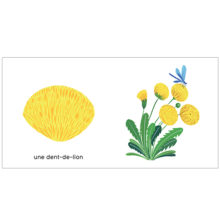livre_bébé_enfant_cartonné_histoire_dessin_imagier_nature_maison Eliza_Editions_l'INATELIER_Nantes_cadeaux_noel_chambre_apprentissage_Couv-Les-couleurs-de-mon-jardin-RVB-550x550_made-in-france_dent-de-lion-fleur