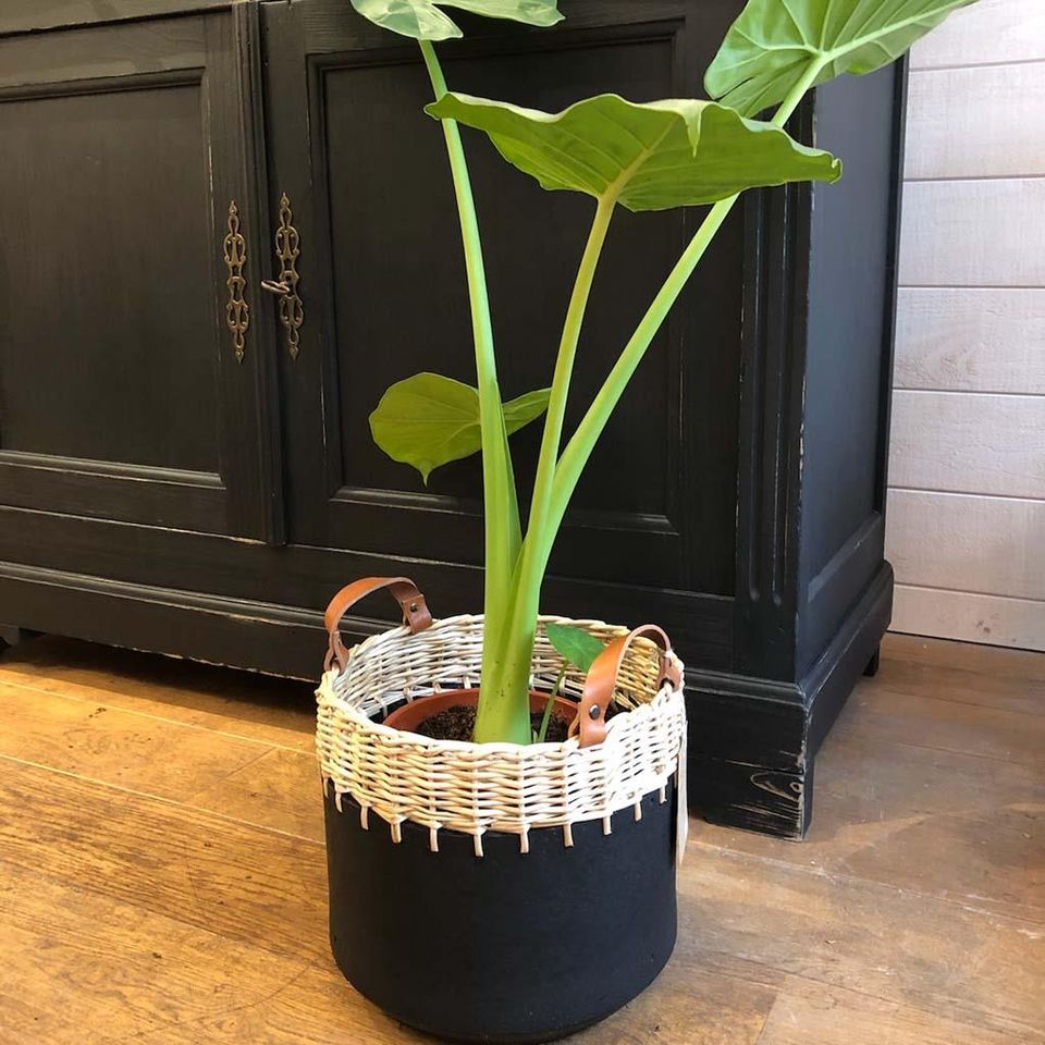Cache pot en osier & caoutchouc - Vannerie – Image 2
