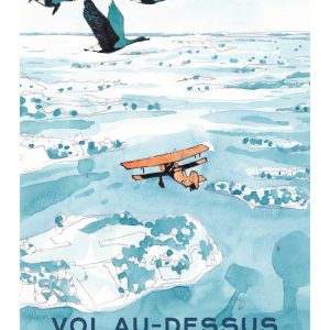 Vol au-dessus du Golfe morbihan Illustration frères de la côte