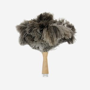plumeau à poussière andrée jardin hêtre