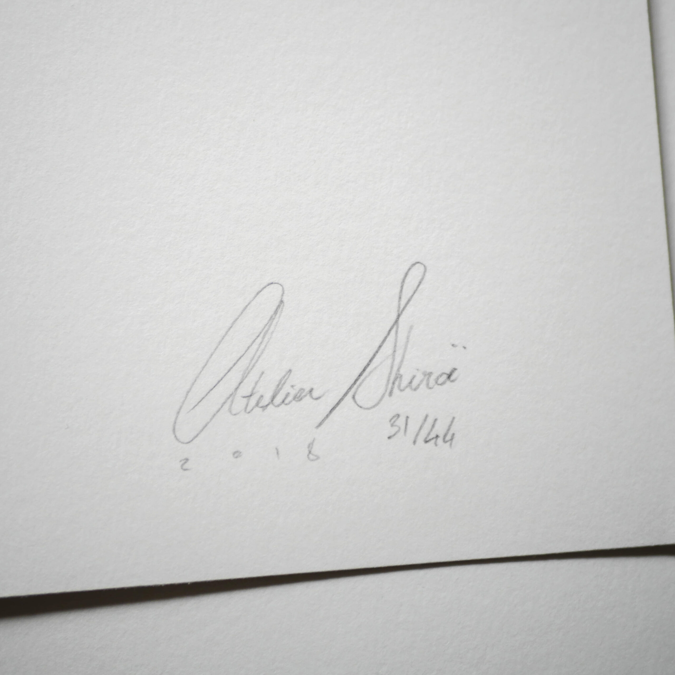 signature sérigraphie oiseaux catcheurs atelier shiroi