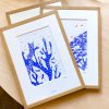 Linogravure-corail-morgane-chouin